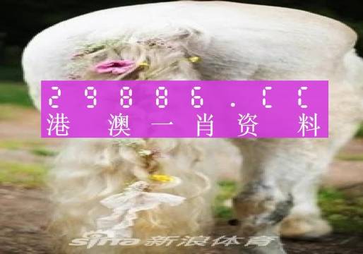 澳门必中一肖一码四不像,实地验证数据设计_AP53.926