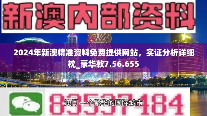 新澳2024年最新版资料,实践研究解释定义_YE版96.296