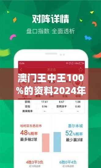 2024年澳门王中王100,安全性策略解析_钱包版56.104